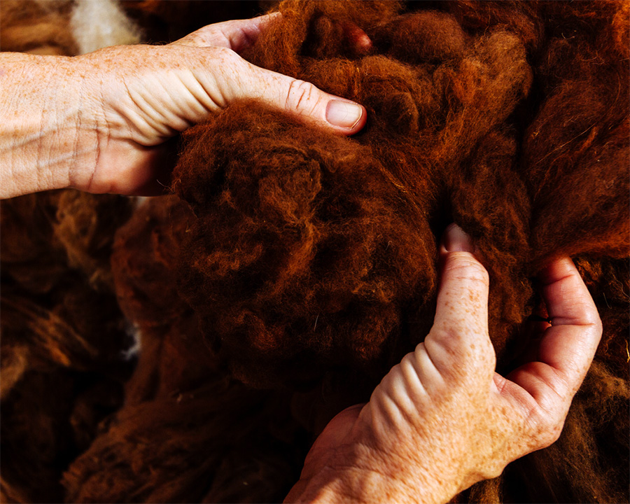 Raw alpaca fiber before spinning