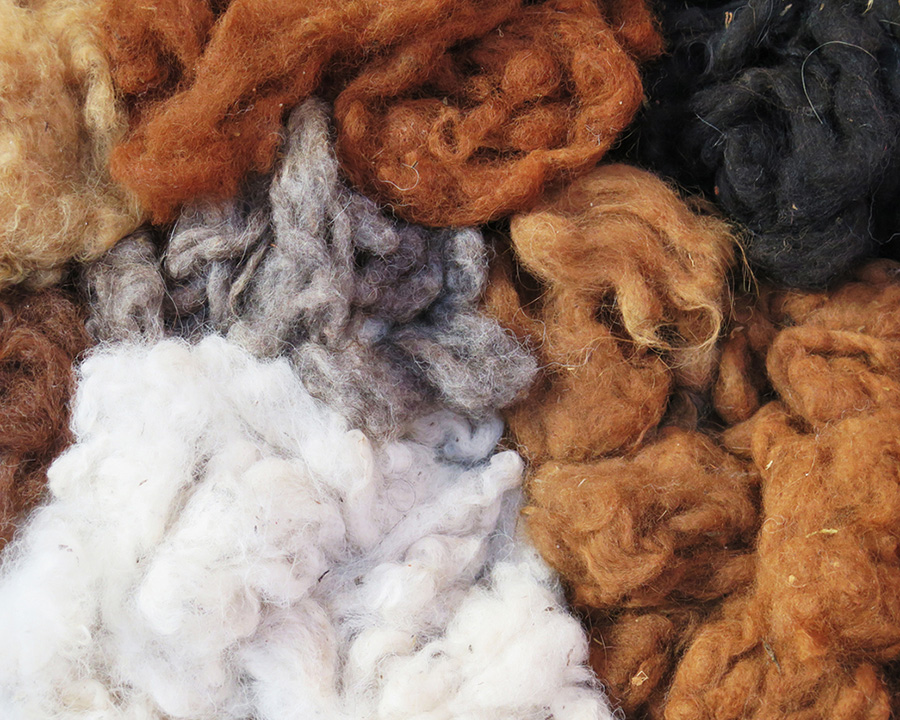 Science of Alpaca fiber for socks